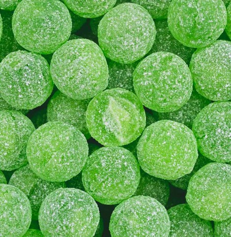 bonbon cactus tiktok