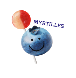 YumEarth Blueberry